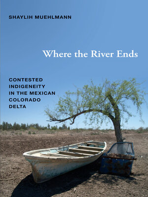 cover image of Where the River Ends